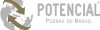 49 POTENCIAL